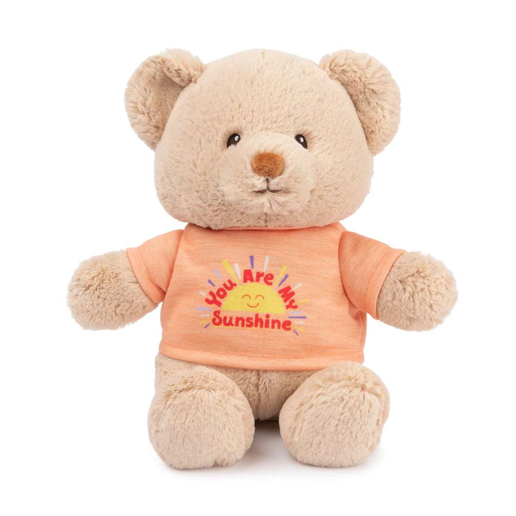 You Are My Sunshine Teddy Bear